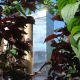 DSC08066