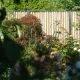 DSC08205